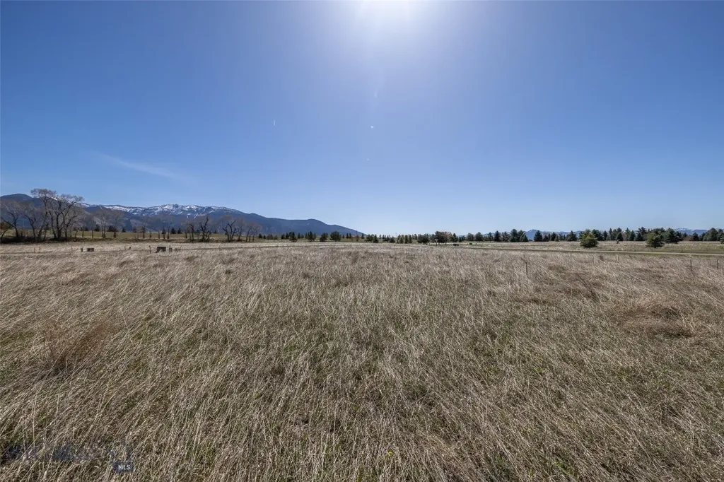 Tbd Poppyfield Drive Bozeman MT 59718