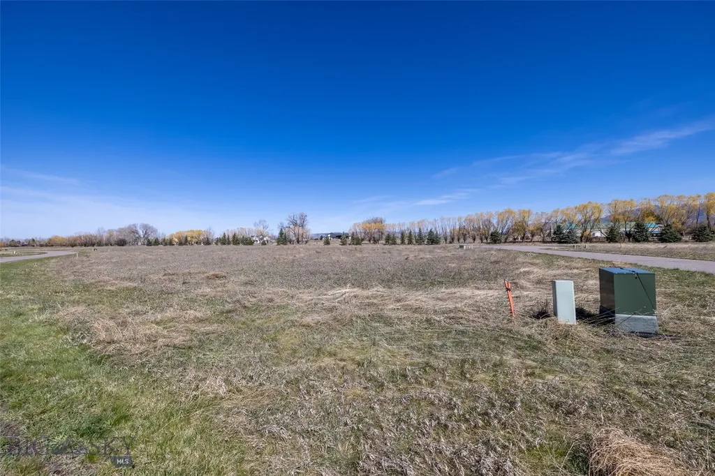 Tbd Poppyfield Drive Bozeman MT 59718