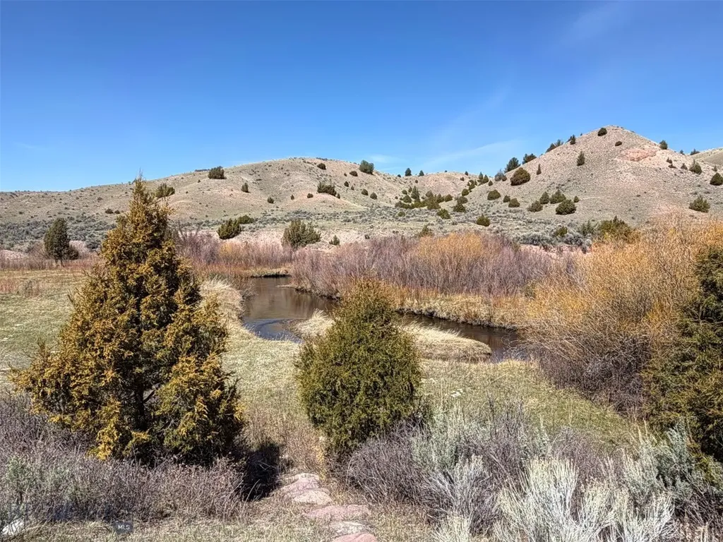 6275 Lower Grasshopper Road Dillon MT 59725