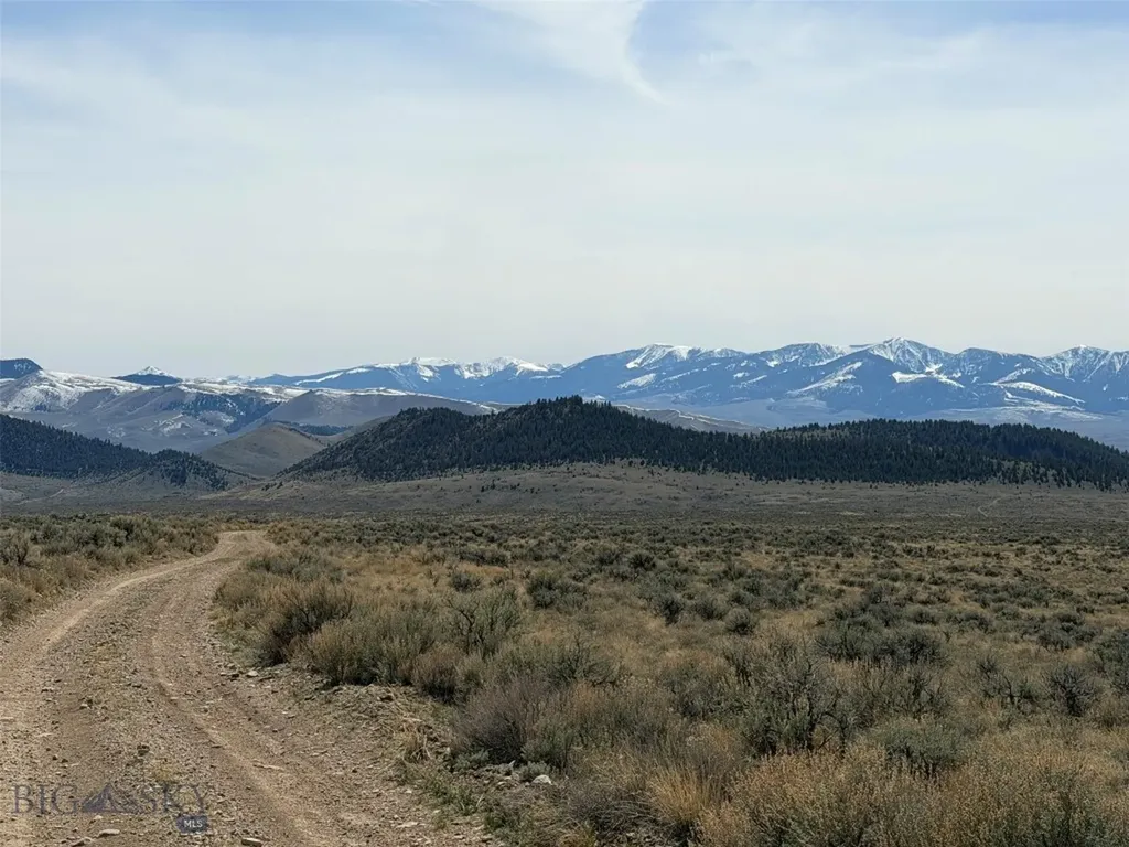 6275 Lower Grasshopper Road Dillon MT 59725