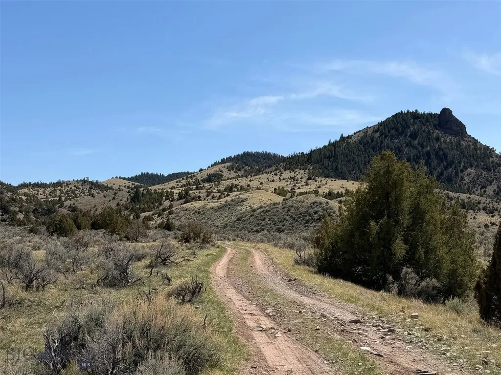 6275 Lower Grasshopper Road Dillon MT 59725