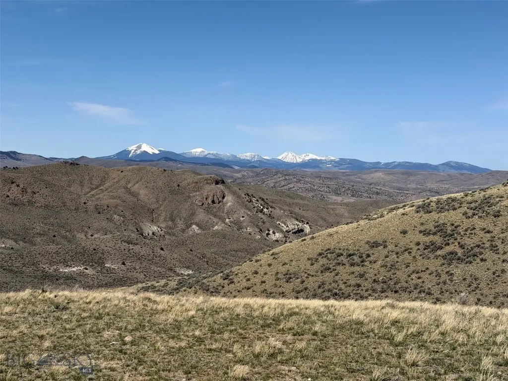 6275 Lower Grasshopper Road Dillon MT 59725