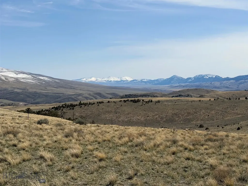 6275 Lower Grasshopper Road Dillon MT 59725