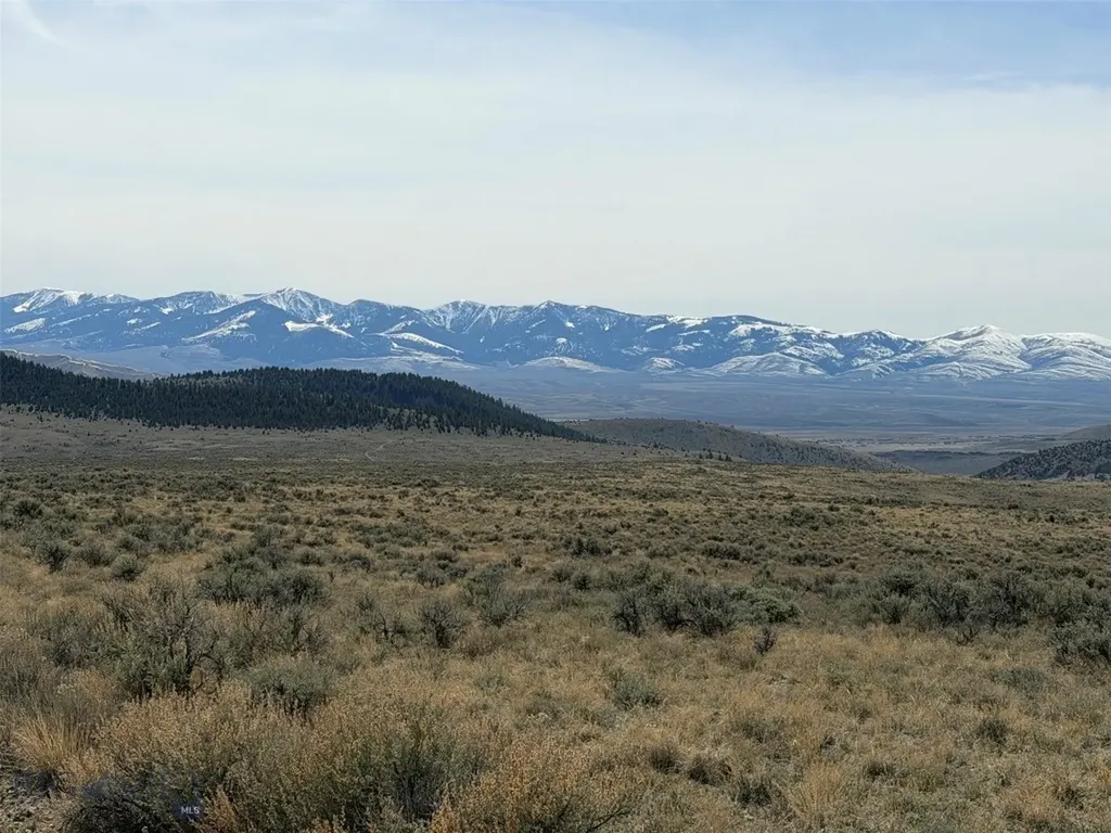 6275 Lower Grasshopper Road Dillon MT 59725