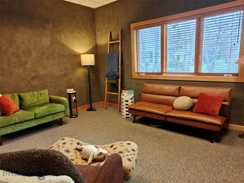 626 S Ferguson Bozeman MT 59718