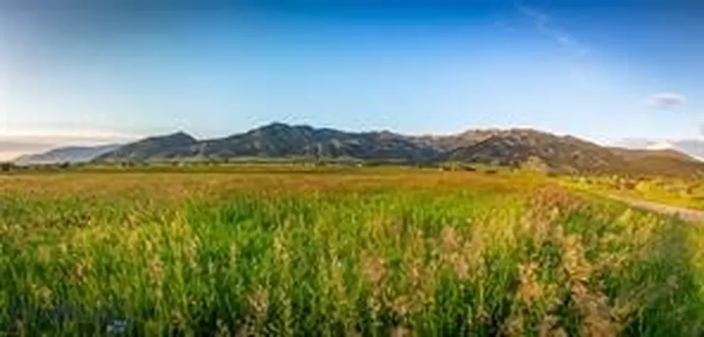 555 Glory Lane Bozeman MT 59715