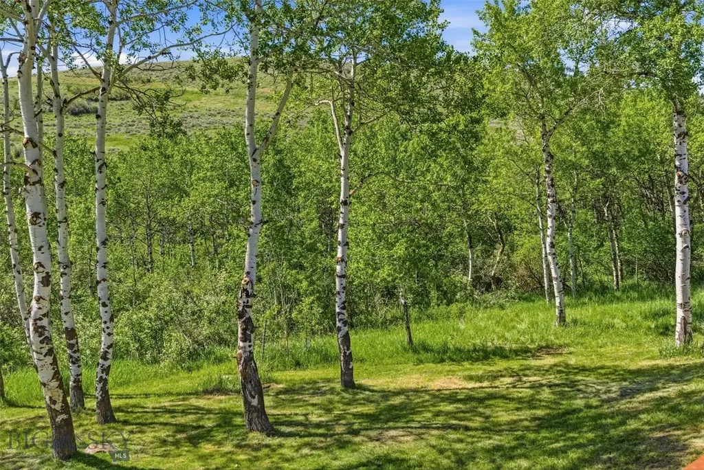 761 Sunny Bear Road Bozeman MT 59715
