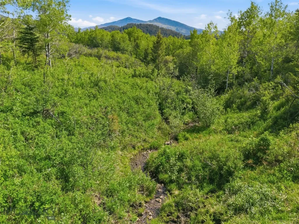761 Sunny Bear Road Bozeman MT 59715