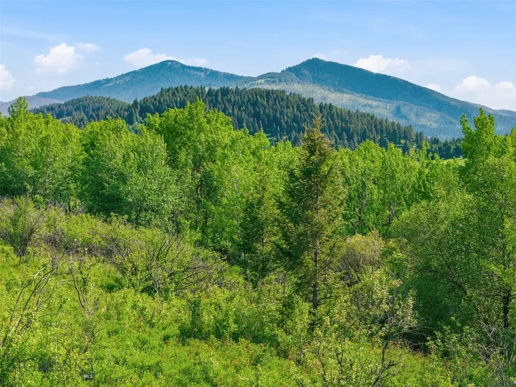 761 Sunny Bear Road Bozeman MT 59715