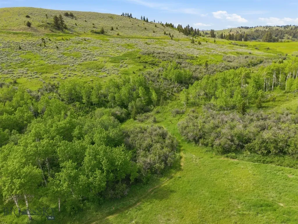 761 Sunny Bear Road Bozeman MT 59715