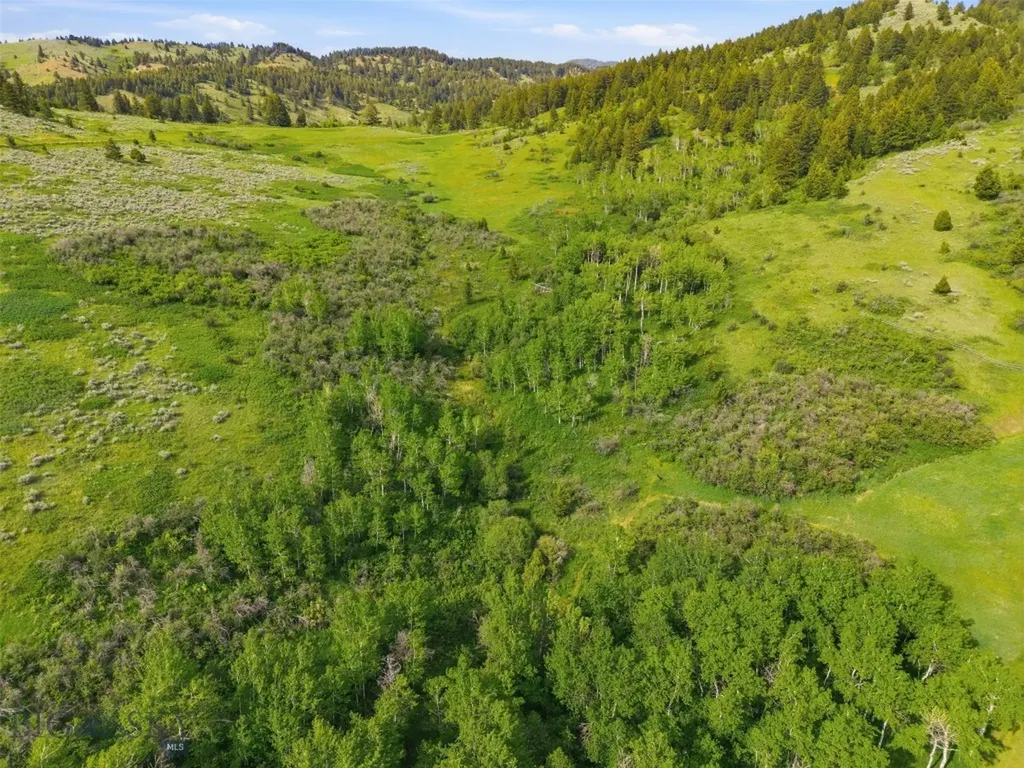 761 Sunny Bear Road Bozeman MT 59715