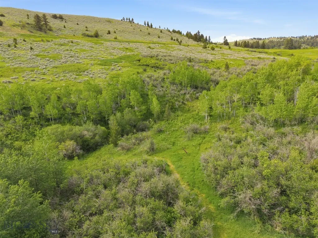 761 Sunny Bear Road Bozeman MT 59715