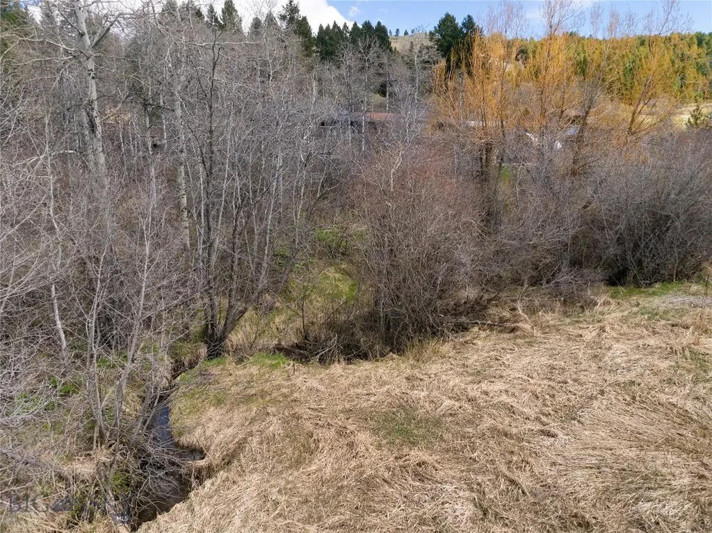 1759 Moffit Gulch Bozeman MT 59715