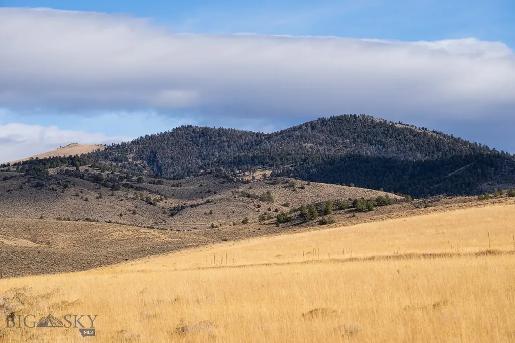 Tbd Buster Brown Road Dillon MT 59725
