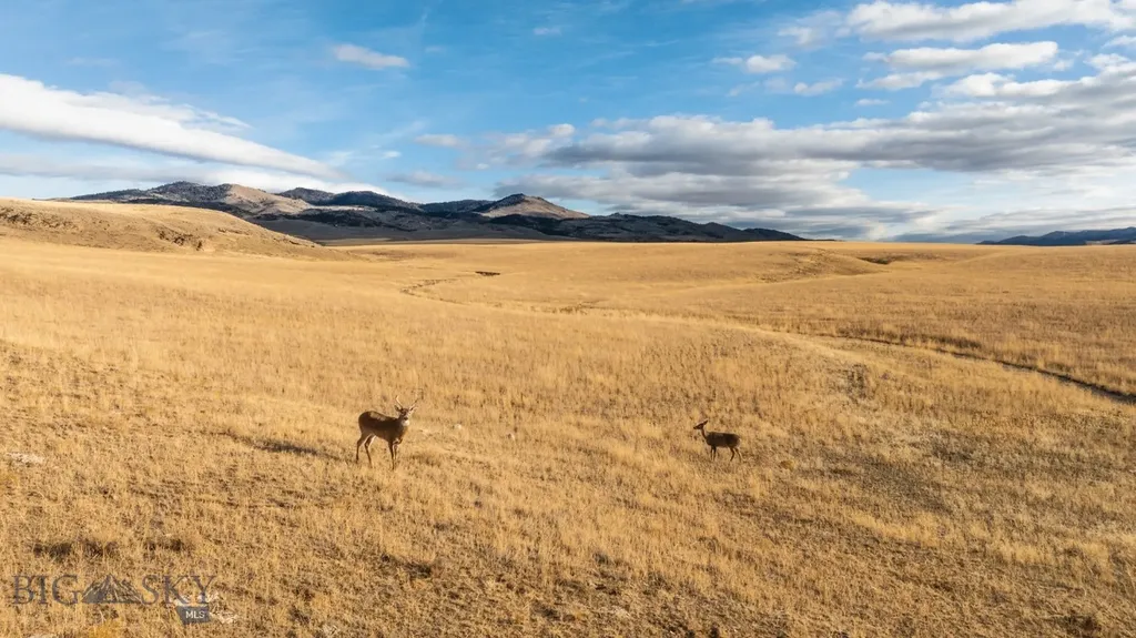 Tbd Buster Brown Road Dillon MT 59725