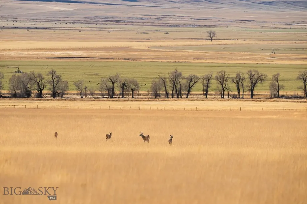 Tbd Buster Brown Road Dillon MT 59725