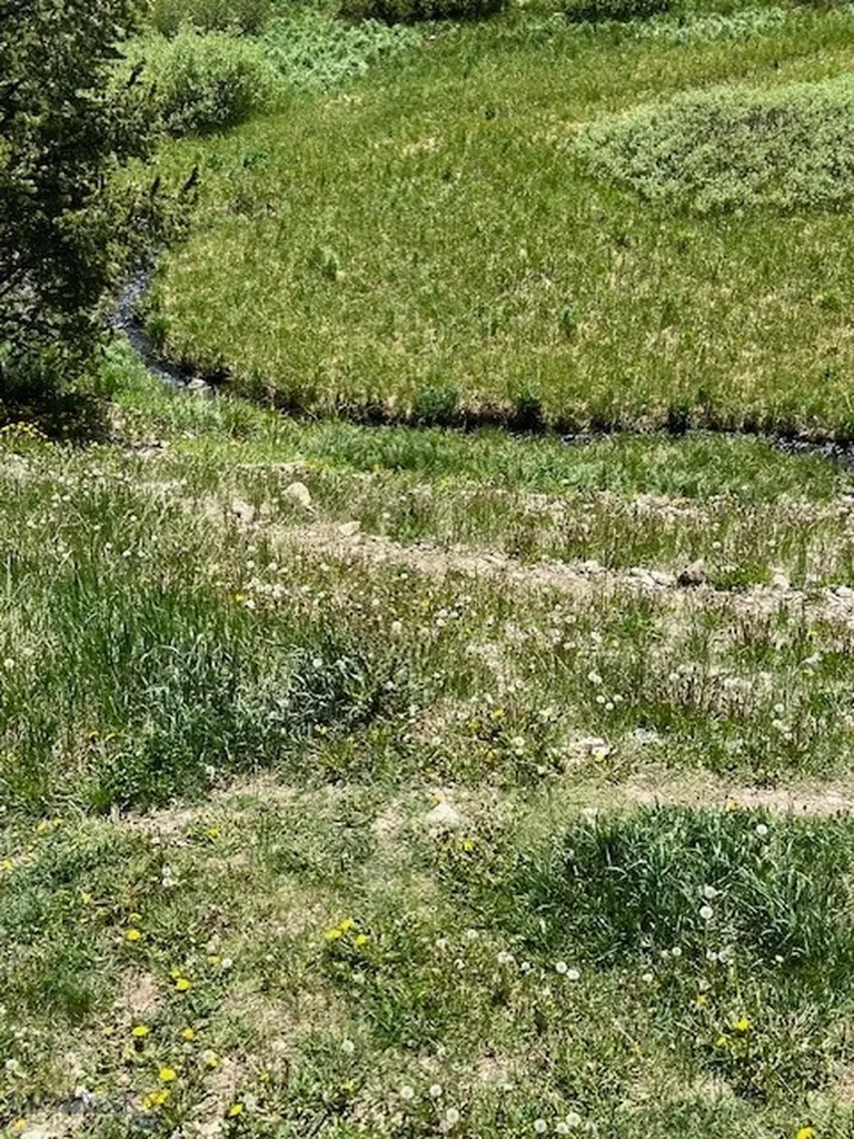 21 Sitting Bull Road Big Sky MT 59716