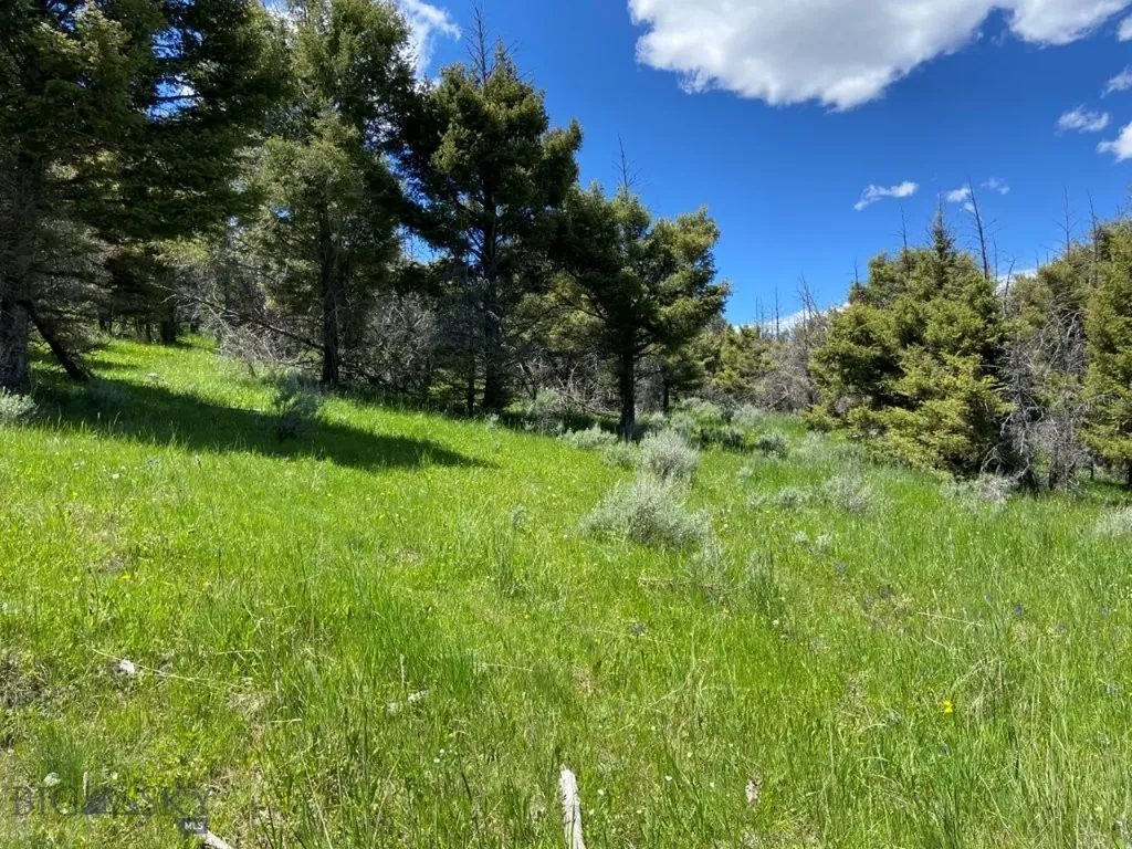 Tbd Camp Creek Road Melrose MT 59743