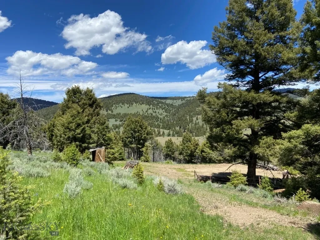 Tbd Camp Creek Road Melrose MT 59743