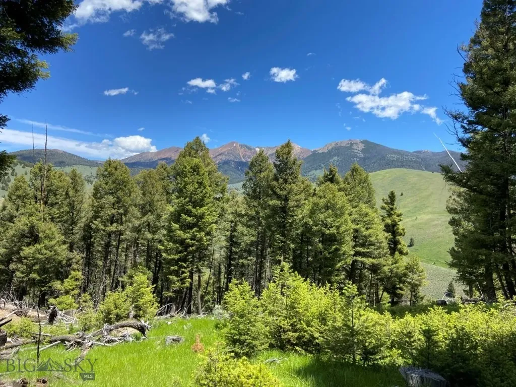 Tbd Camp Creek Road Melrose MT 59743