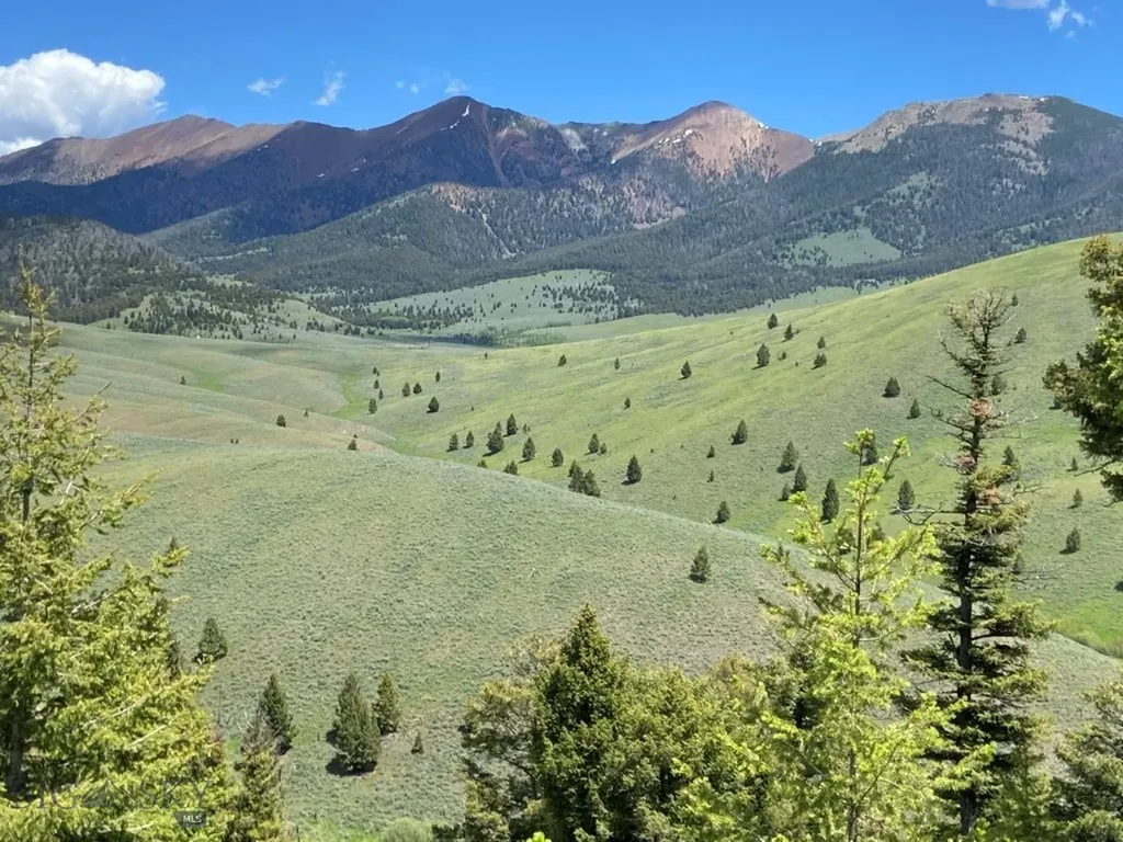 Tbd Camp Creek Road Melrose MT 59743