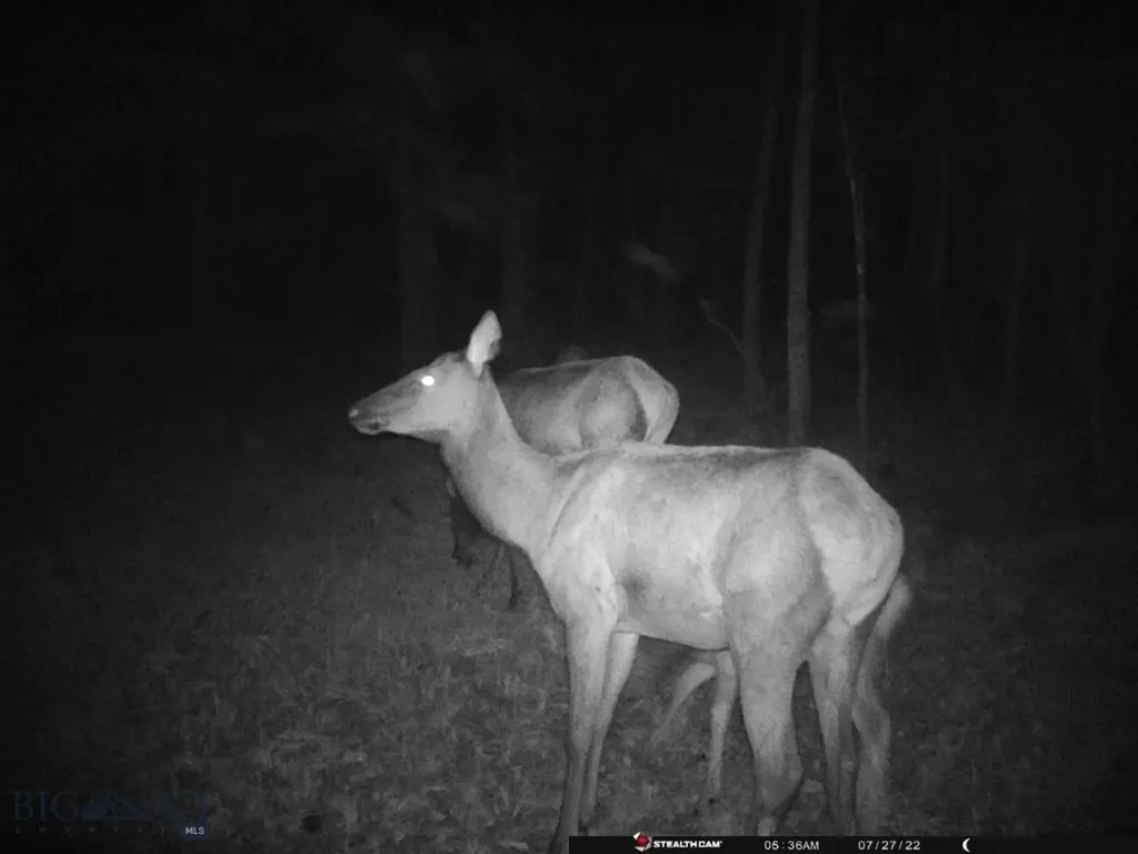 Tbd Camp Creek Road Melrose MT 59743
