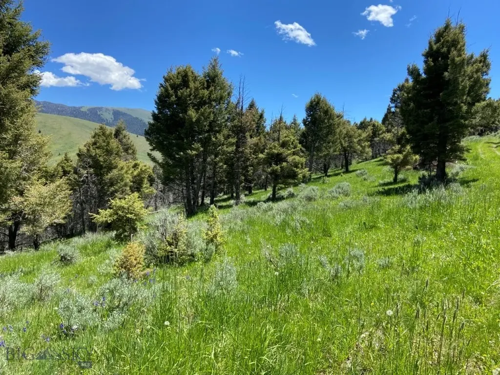 Tbd Camp Creek Road Melrose MT 59743