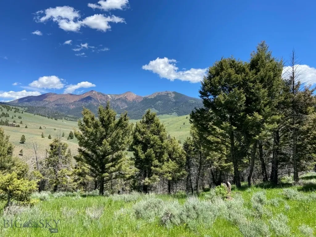 Tbd Camp Creek Road Melrose MT 59743
