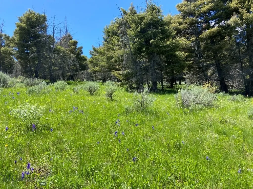 Tbd Camp Creek Road Melrose MT 59743