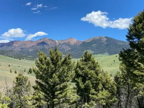 TBD Camp Creek Road Melrose MT 59743