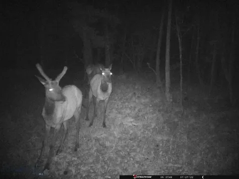 TBD Camp Creek Road Melrose MT 59743