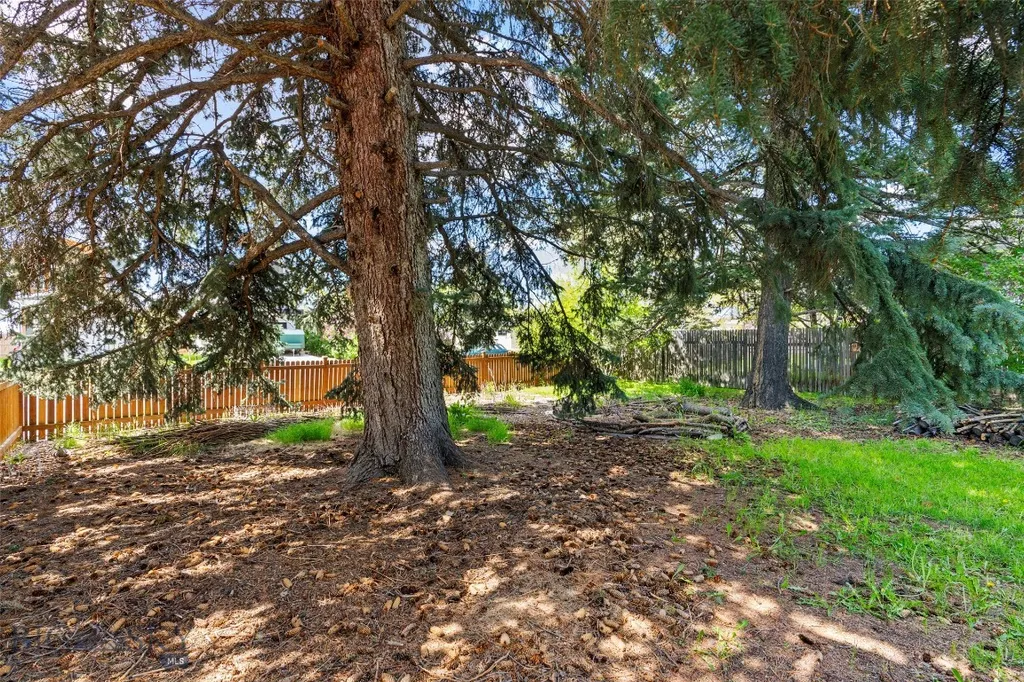 707 Montana Street Belgrade MT 59714