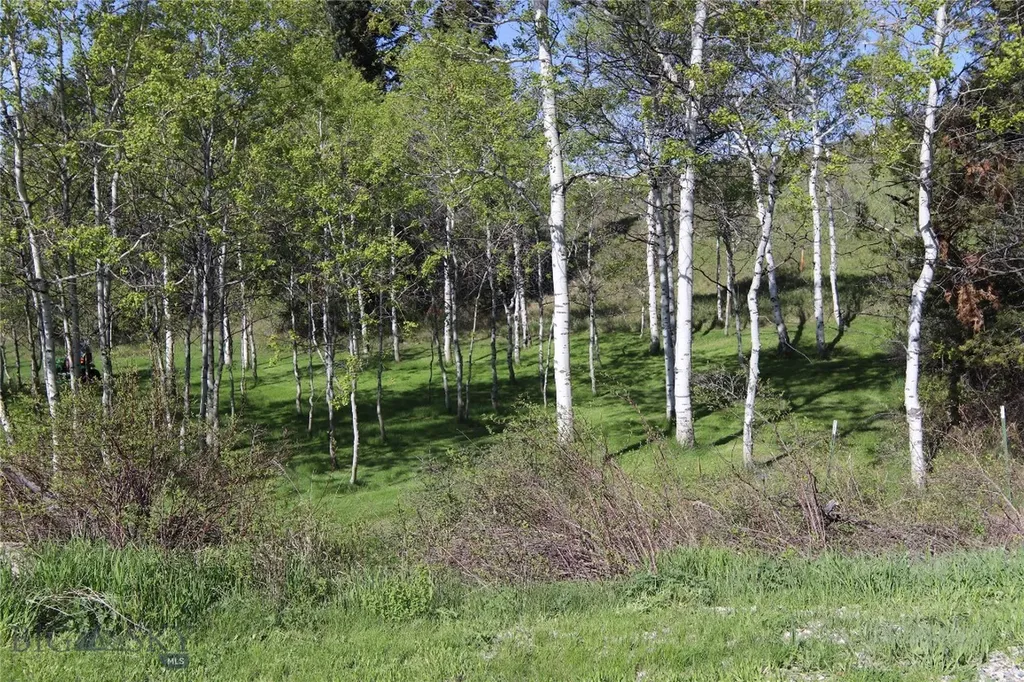 202 Beach Drive West Yellowstone MT 59758