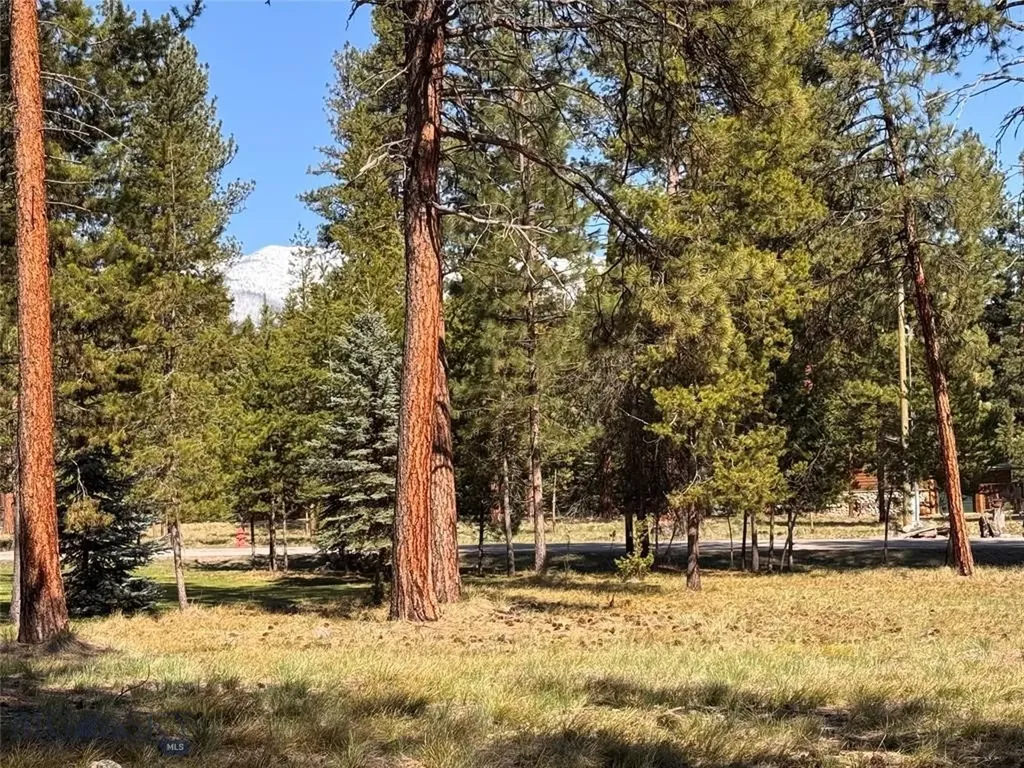 Seeley Lake MT 59868