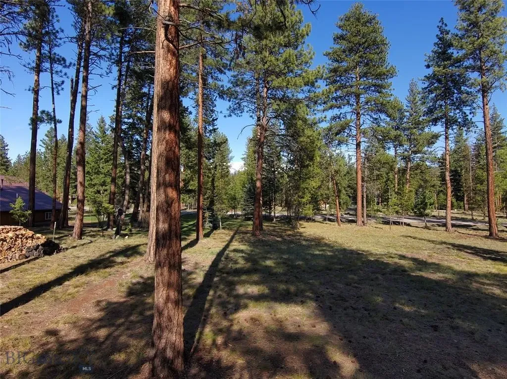 Seeley Lake MT 59868