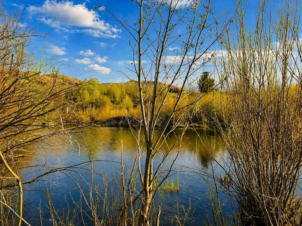 Tbd Clear Creek Trail Anaconda MT 59711