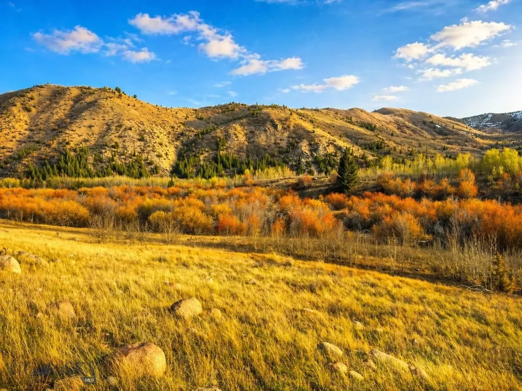 Tbd Clear Creek Trail Anaconda MT 59711
