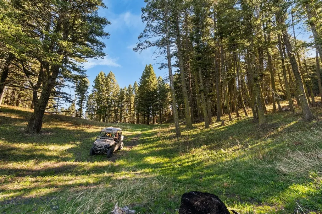 271 Sled Run Road Bozeman MT 59715