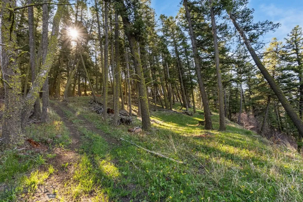 271 Sled Run Road Bozeman MT 59715