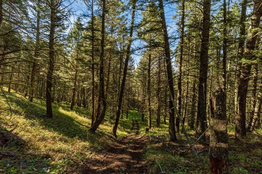 271 Sled Run Road Bozeman MT 59715