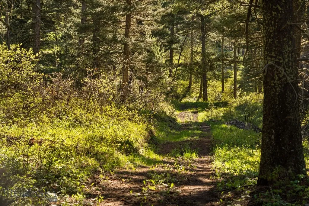271 Sled Run Road Bozeman MT 59715