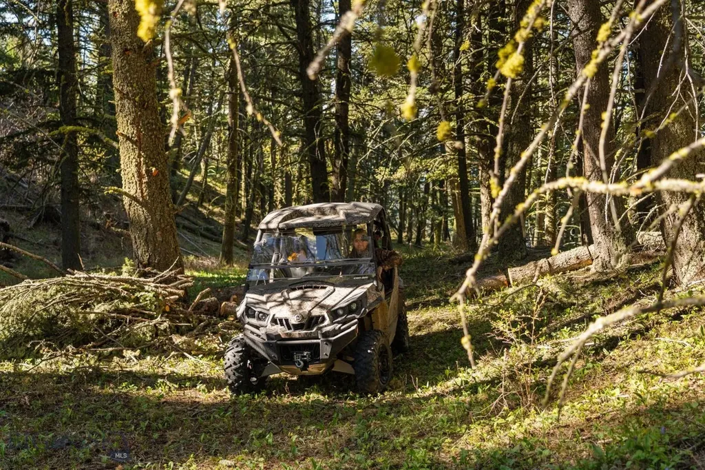 271 Sled Run Road Bozeman MT 59715