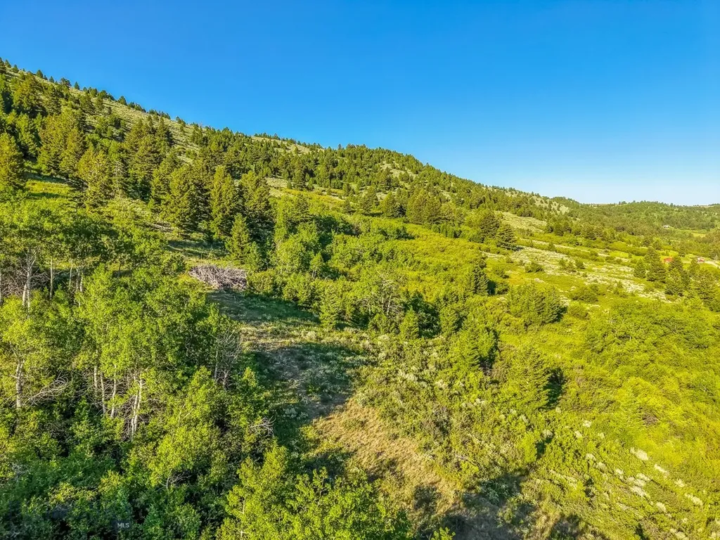 Tbd Woodchuck Road Bozeman MT 59715