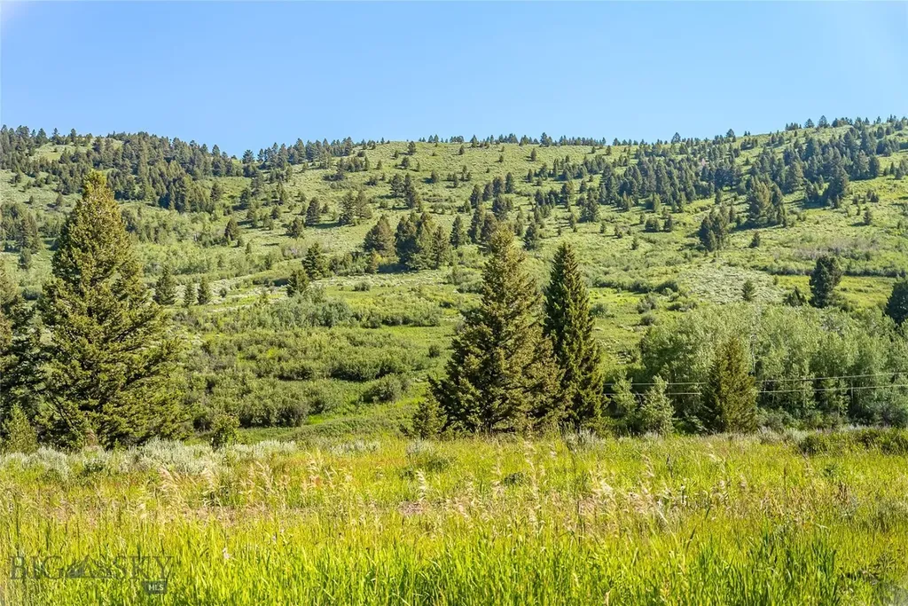 Tbd Woodchuck Road Bozeman MT 59715