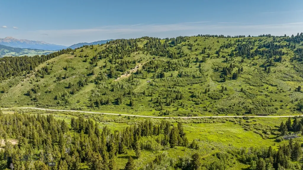 Tbd Woodchuck Road Bozeman MT 59715
