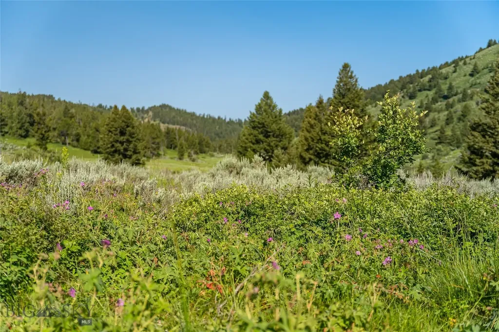 Tbd Woodchuck Road Bozeman MT 59715