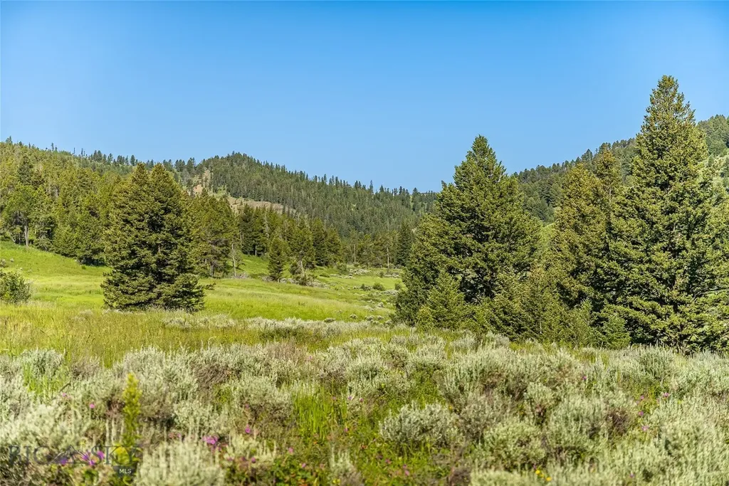 Tbd Woodchuck Road Bozeman MT 59715