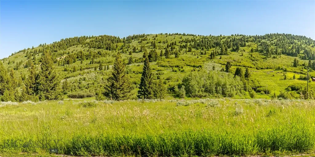 Tbd Woodchuck Road Bozeman MT 59715