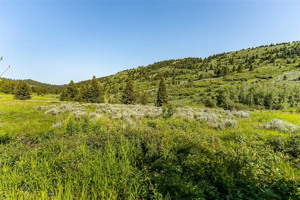 Tbd Woodchuck Road Bozeman MT 59715