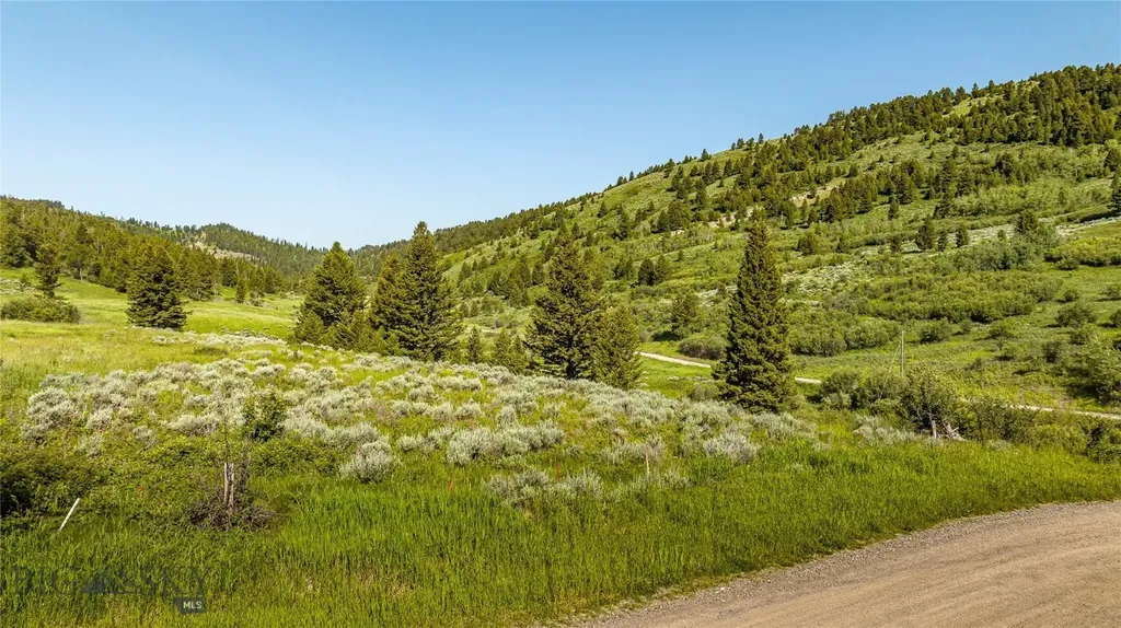 Tbd Woodchuck Road Bozeman MT 59715